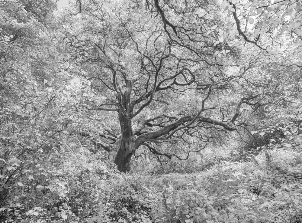 Stephen Johnson tweet media