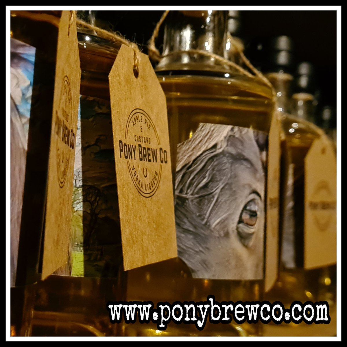 PonyBrewco's tweet photo. Way back in the mists of 2019 we founded a not-for-profit enterprise to help raise awareness and essential funds to protect and preserve our native Cumbrian Fell Ponies.

That enterprise is Pony Brew Co. https://t.co/H8uVYSFw7J