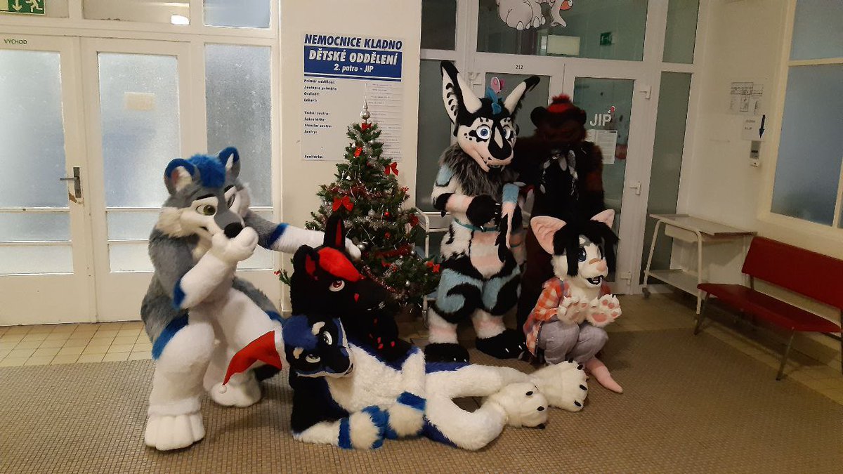 KuramaTheWolf (@kuramathewolf) on Twitter photo Today we went to Hospital to cheer up Kids and Elders!
Making them smile was warming my heart.
And Thanks to <a href="/CelahirCZ/">Celahir Aldaríon</a> for making my idea become reality
🐭 <a href="/rave_rodent/">Ratla!</a>
🐺 Milki
🐺 <a href="/WolfikMajkii/">Majkíí Wooffy Wolfík</a>
🐺 <a href="/RasmussCZ/">Rasmuss</a>
🐺 <a href="/SwiftyHooskie/">Swͪiͦfͦt̾yⷦ 🏳️🌈 🔜 ČesFur</a>
📸 <a href="/jtheserg/">John the Sergal 🧀</a> Today we went to Hospital to cheer up Kids and Elders!
Making them smile was warming my heart.
And Thanks to <a href="/CelahirCZ/">Celahir Aldaríon</a> for making my idea become reality
🐭 <a href="/rave_rodent/">Ratla!</a>
🐺 Milki
🐺 <a href="/WolfikMajkii/">Majkíí Wooffy Wolfík</a>
🐺 <a href="/RasmussCZ/">Rasmuss</a>
🐺 <a href="/SwiftyHooskie/">Swͪiͦfͦt̾yⷦ 🏳️🌈 🔜 ČesFur</a>
📸 <a href="/jtheserg/">John the Sergal 🧀</a>