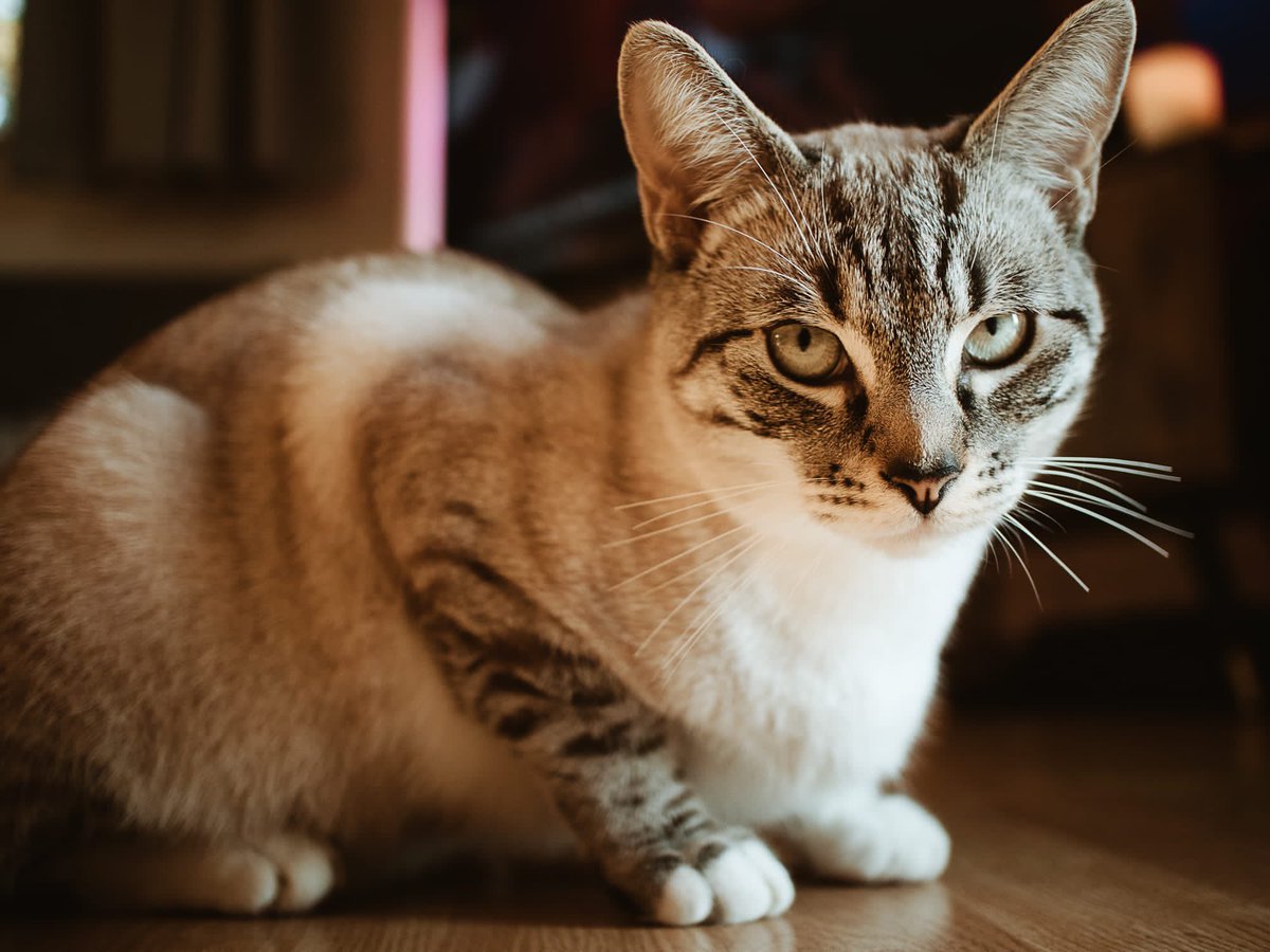 Molly mae On Twitter look At My Handsome Baby Boy molly-mae-on-twitter-look-at-my-handsome-baby-boy