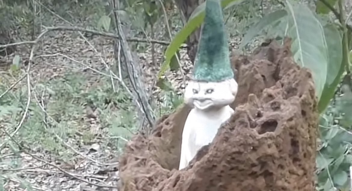 me as a baby is the only thing bringing me happiness rn