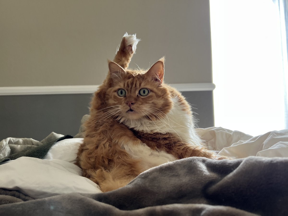 stretch