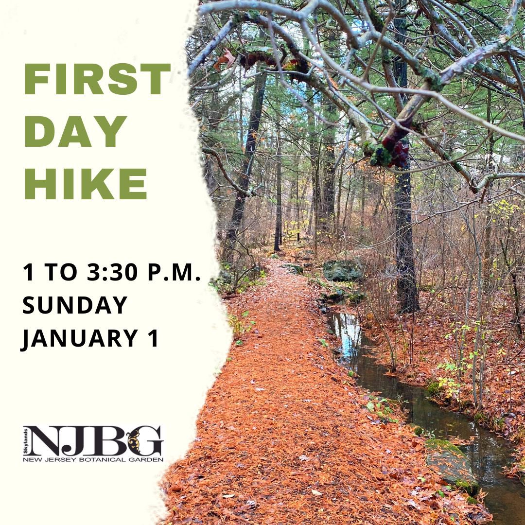 NJBGSkylands's tweet photo. #firstdayhike #firstday2022 #2022 #njbg #nj #newjersey #ringwood #skylands #nynjtc @nynjtc https://t.co/SbWQH0upkb