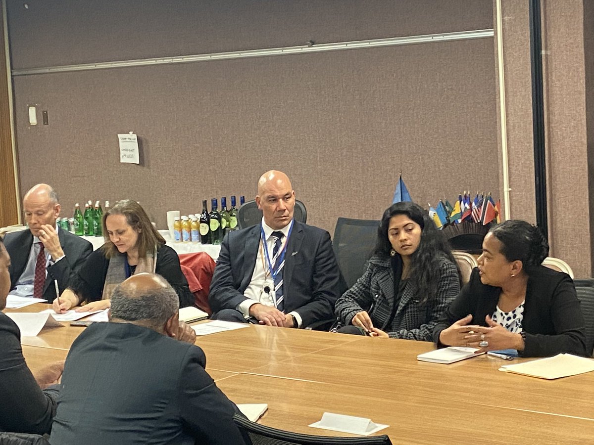 FijiMissionUN's tweet photo. PIF PRs #talanoa with @ForumSEC @UNDPPA & @UNDP colleagues this evening to provide feedback on the draft #Pacific #ClimateSecurity Risk Assessment Framework @& discuss how the #PCSAF can inform future work by #UN and other partners in the #BlueContinent. ๐๐บ๐ณ https://t.co/ubouP5G1m4