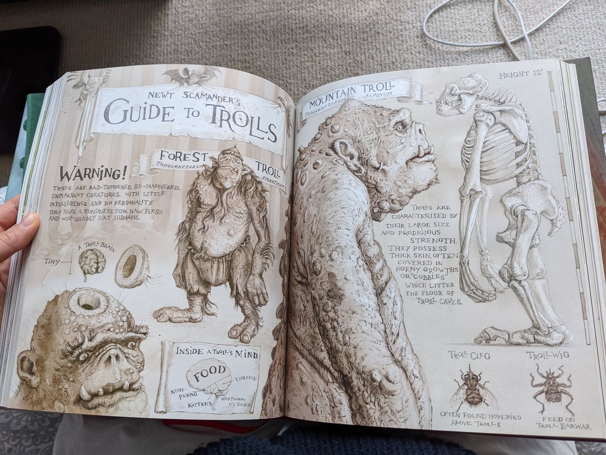 Julie_julia_jul's tweet photo. Fantastic illustrations! Fall in love #HarryPotter #JimKay https://t.co/6hxdrPTdDp