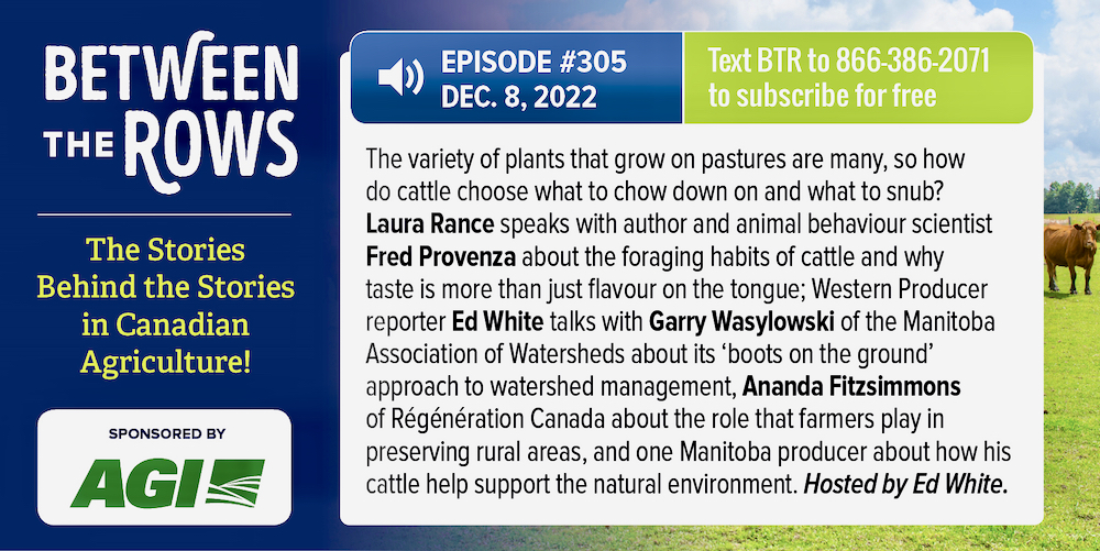 [NEW PODCAST] On this week’s ‘Between the Rows’ with <a href="/MB_Watersheds/">Manitoba Association of Watersheds</a> <a href="/regenerationcan/">Regeneration Canada</a> <a href="/EdWhiteMarkets/">Ed White</a>: Selective palates, watershed discussions. Download on Google Podcasts at: ow.ly/sy1y50LZ0bK (Sponsored by <a href="/AgGrowthIntl/">AGI</a>) #cdnag