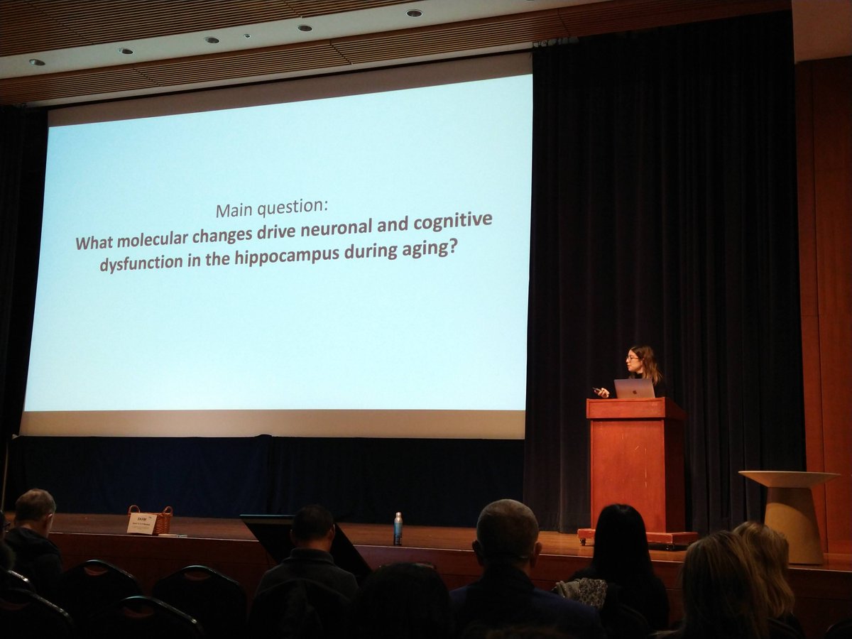 UCSF Bakar Aging Research Institute (@ucsfaging) on Twitter photo Laura Remesal-Gomez from the <a href="/VilledaLab/">Villeda Lab</a> presenting her work identifying FTL1 as a neuronal pro-aging factor that promotes cognitive decline. #BAAM Laura Remesal-Gomez from the <a href="/VilledaLab/">Villeda Lab</a> presenting her work identifying FTL1 as a neuronal pro-aging factor that promotes cognitive decline. #BAAM