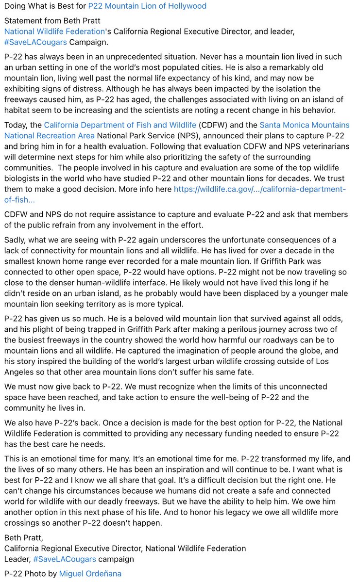 Doing What is Best for <a href="/P22ofHollywood/">P22mountainlion</a> 

Statement from <a href="/NWF/">National Wildlife Federation</a> Beth Pratt 
leader, #SaveLACougars

"We must recognize when the limits of this unconnected space have been reached, and take action to ensure the well-being of P-22 and the community"

Read  nwf.org/Latest-News/Pr…