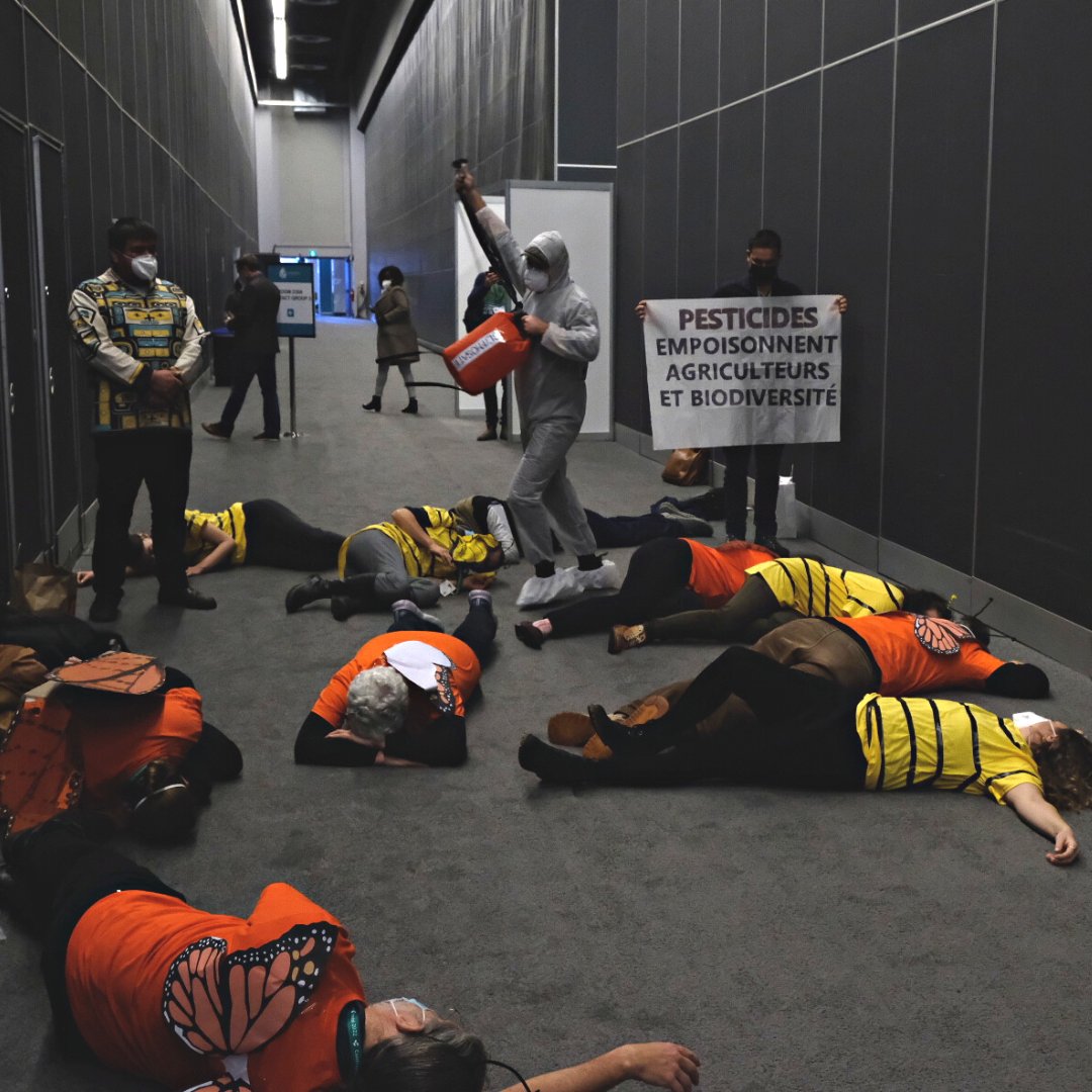 wildernewsON's tweet photo. We dressed as bees &amp; butterflies to raise concerns today abt the presence and profile of the pesticide industry @ #COP15 / global biodiversity summit. We’re calling on govs to embrace pesticide reduction targets as part of the global biodiversity framework being negotiated. https://t.co/d7dcAsNdqX
