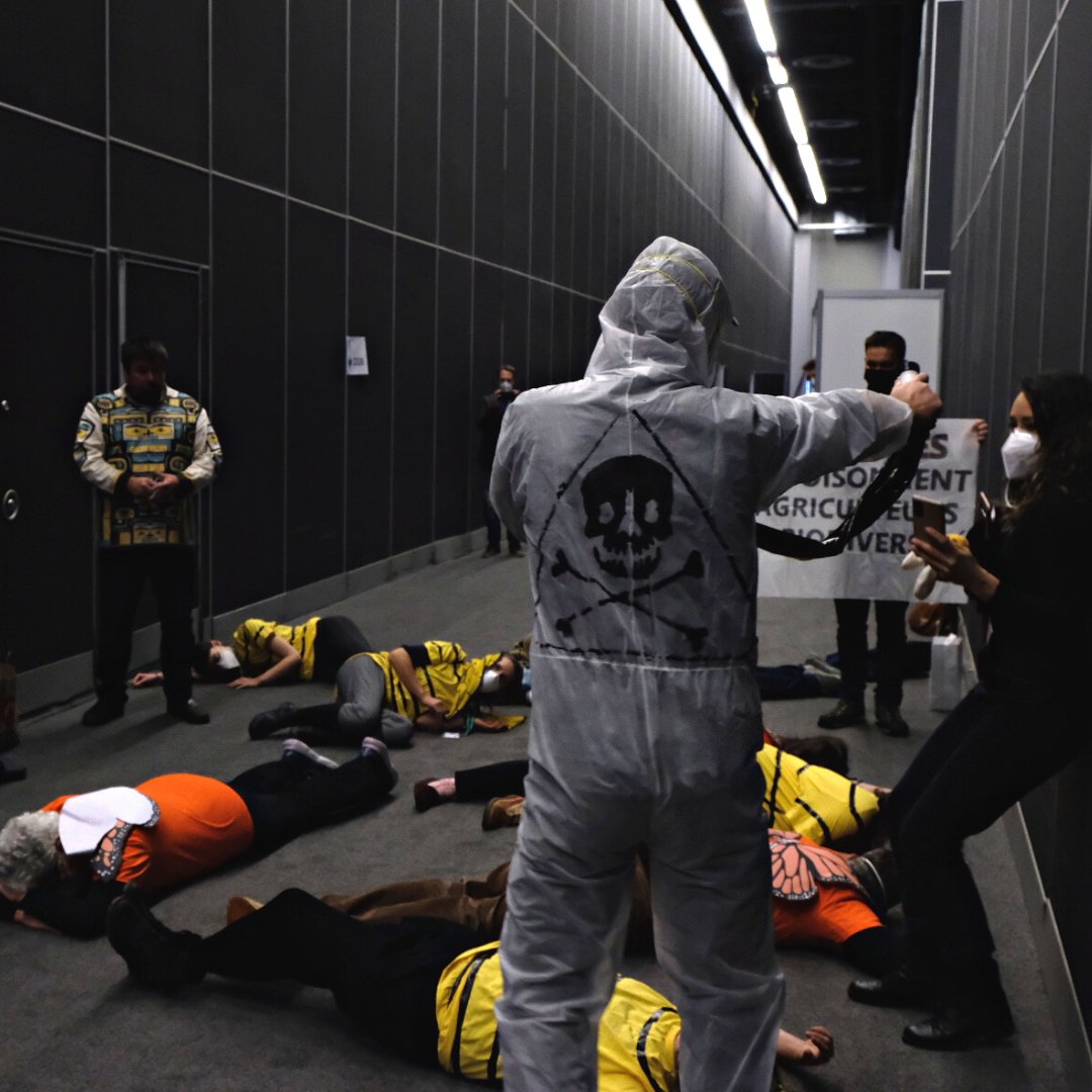 We dressed as bees &amp; butterflies to raise concerns today abt the presence and profile of the pesticide industry @ #COP15 / global biodiversity summit. We’re calling on govs to embrace pesticide reduction targets as part of the global biodiversity framework being negotiated.