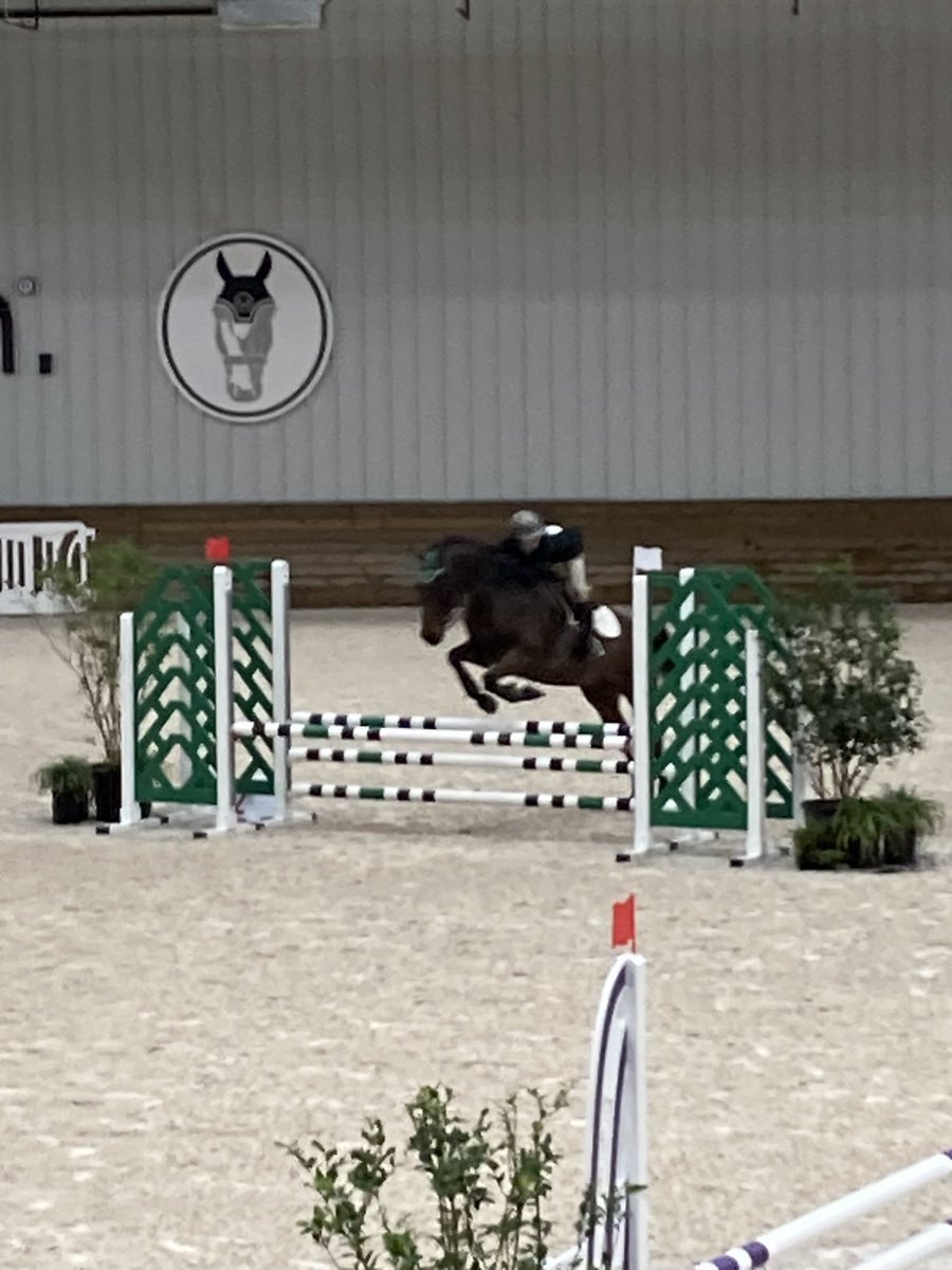 paulmac24's tweet photo. WEC, Ocala. Day 1 in the books. #WEC #ribbons #jumper #horseshow https://t.co/9J2K3durCa