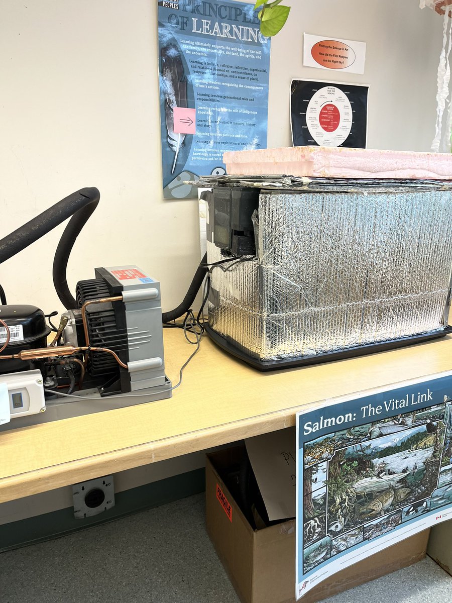 Carolyn Green tweet media