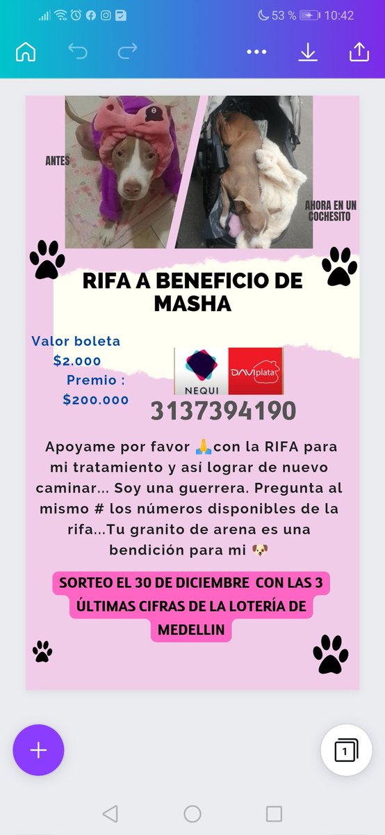 AntoAleCastaed1's tweet photo. HOLA!!! por favor Masha pide de tu apoyo para poder continuar su rehabilitación. 🙏🙏https://t.co/VQWBXgBQP4 https://t.co/8MadXaR0yb
