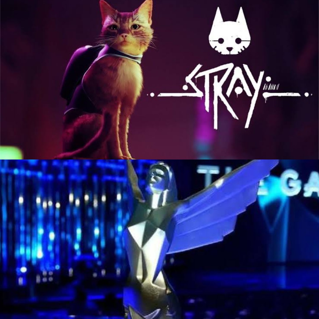 ¡TROFEO PARA STRAY! 🏆 El premio a Mejor Debut Indie de #TheGameAwards es otorgado a #Stray 👏 El juego del Michi aún compite por ser el mejor título del 2022 🐱