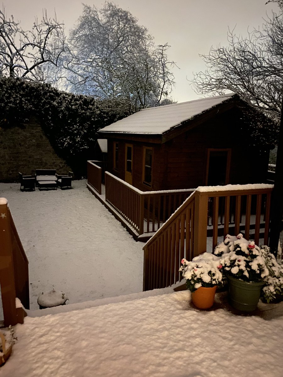 ellenomdunlop's tweet photo. It’s beginning to look a lot like Christmas #springfieldroad https://t.co/ZACbCeM6nF