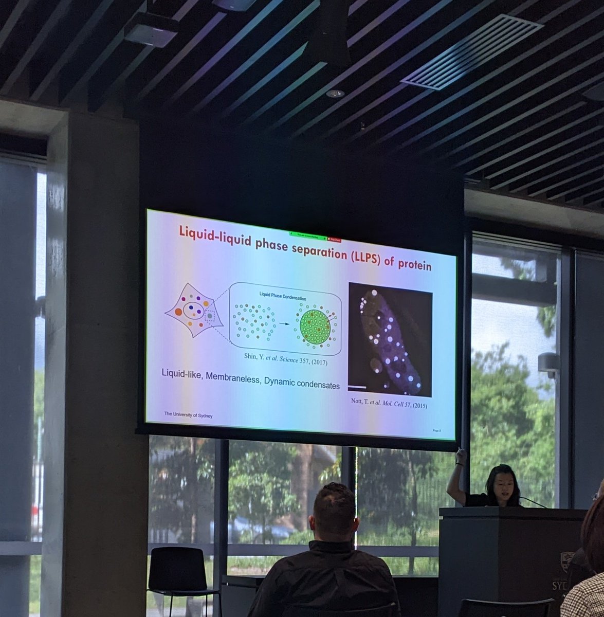 beansymposium's tweet photo. Kicking things off with a fab talk on #biomolecular condensates by @Yi_Shen_! Remember, if you're attending online (or just feeling a bit shy) feel free to jump into discussion with the hashtag #BEANS22 or in the comments below ⤵️ https://t.co/T3RXQ36S6Y