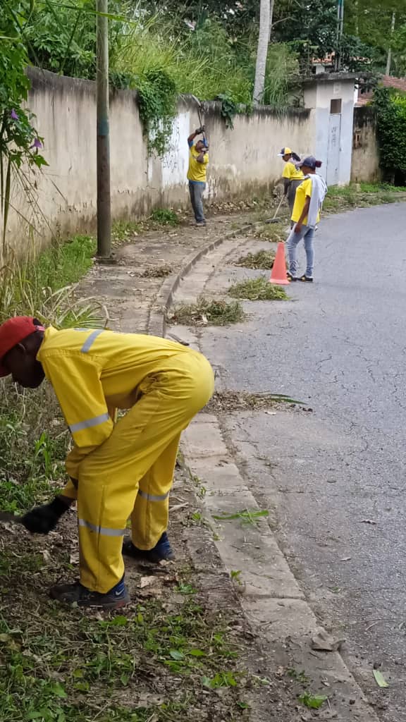 ElHatillo's tweet photo. Cuadrilla vial, realiza trabajos de limpieza y desmalezado de los laterales viales y aceras en la calle #Humboldt #LaLagunita Av. Principal de #LosNaranjos y #Tiama

#CuidemosElHatillo
#SeguimosTrabajando https://t.co/ep8DG4QCwo
