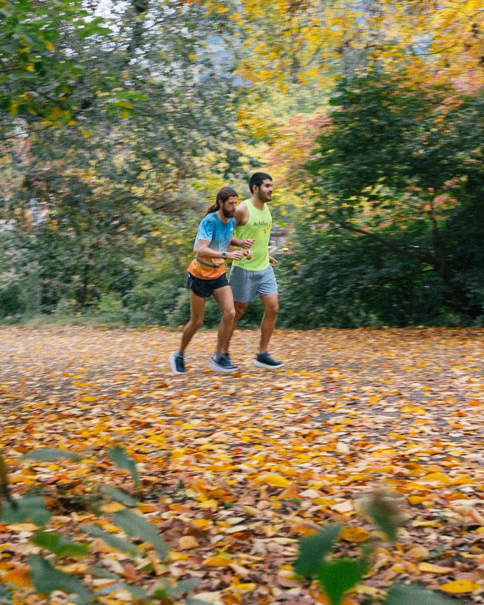 Ulises Garcia tweet media