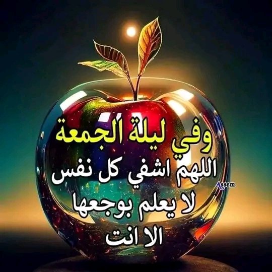 IElmalhi's tweet photo. @mohamedsmaili0 https://t.co/blrhAGbfdL