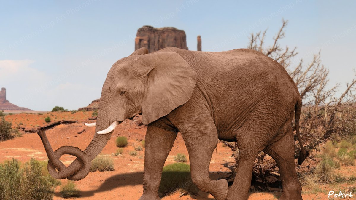 _PhotoshopArt_'s tweet photo. Elephant with a knot on his trunk. My old remastered work.
#PhotoshopArt #PsArtPro #MadeWithPhotoshop #Art #elephant #funny @Photoshop https://t.co/WXwHEFsSjZ