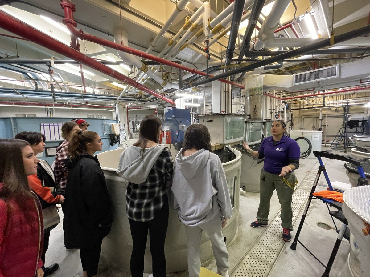 DisneySciNerd's tweet photo. BHS Marine Sci 2 students had a great time at @AdventureAqua with their backstage tour #onebarnegat #bhsscience https://t.co/e81Rr6qm9h