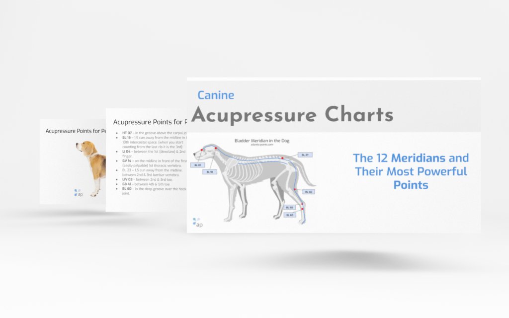 Canine Acupressure Workbook
The Complete Workbook for Therapists &amp; Canine Enthusiasts.
This eBook gives you a complete step-by-step guide on how to treat your dog with Acupressure.
bit.ly/3UY0K8x
#dogecoin #dog #Acupressure #Soothe_Pain