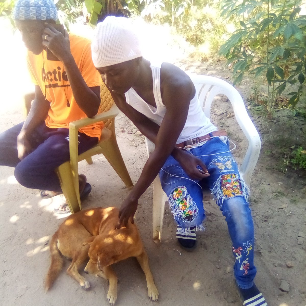 That my bode dog stay with blessings