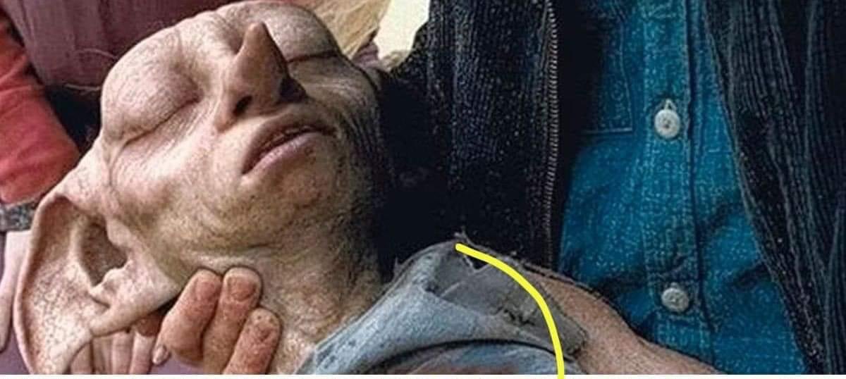 All these people mad at America for trading Viktor Bout and even more mad that Britteny Griner is free👏🏾👏🏾👏🏾hell they should’ve traded y’all mf mammies and Carolyn Bryant’s funky ass with Russia 😒😒😒 #BrittneyGriner #free #justice #Christmas