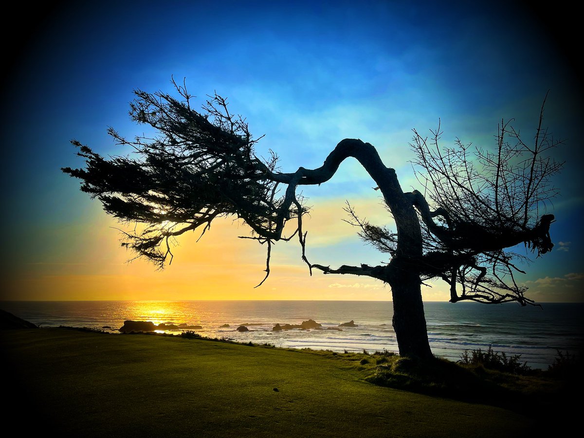 Steelheadache tweet media