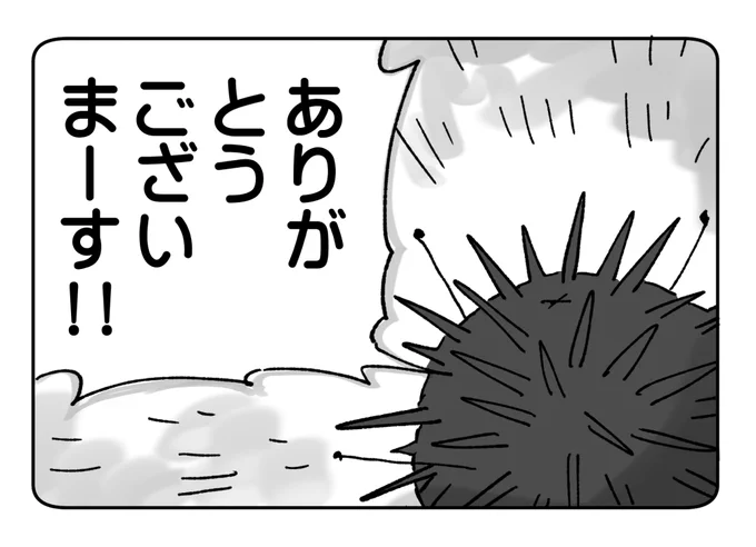 @lilylittli 初めまして!絵本うにさんから漫画を読んで頂きありがとうございました!たくさん読んで楽しんでいただけてとても嬉しいです!
✹<やったー!!
そしてごめんなさい、本にまとまったウニ漫画は作ってないのです。お問い合わせいただきありがとうございました、お子様にもよろしくお伝えください。 