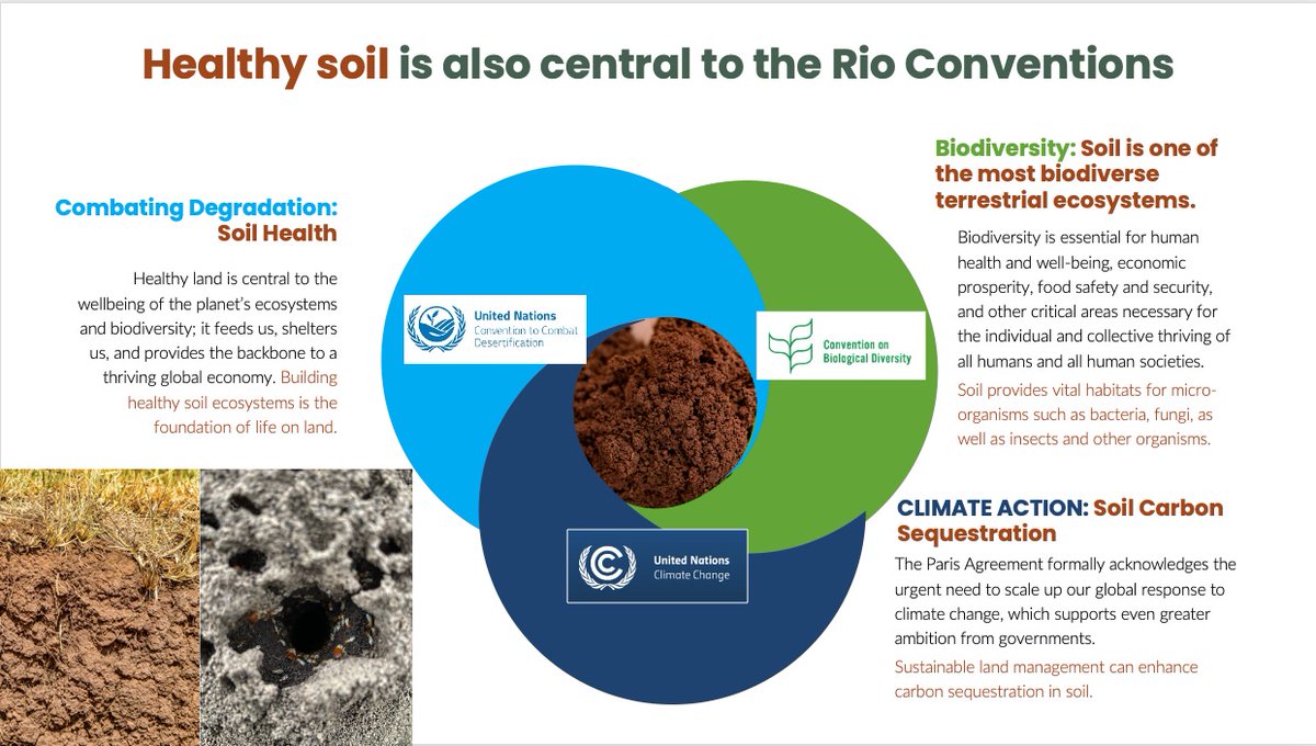 TheLandAlliance's tweet photo. "Healthy land is central to the wellbeing of the planet's ecosystems and #biodiversity; It feeds us, shelters us, and provides the backbone to a thriving global economy.

Healthy #soil is the foundation of life on land." @lawinowiecki

#COP15 #Trees4Resilience #SaveSoil https://t.co/GjJmS8DFOK