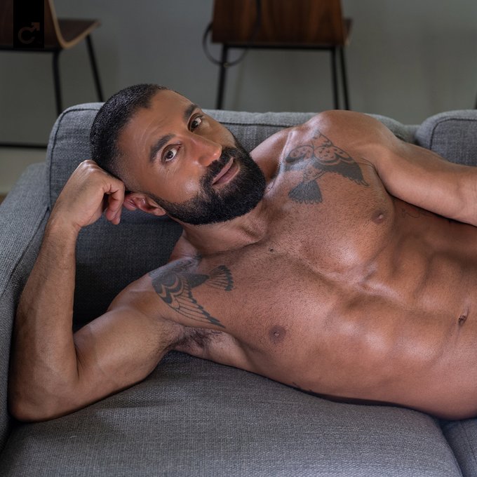 You've lusted after him for years & now this sexy Persian top is yours to take home! Welcome @TheSharok