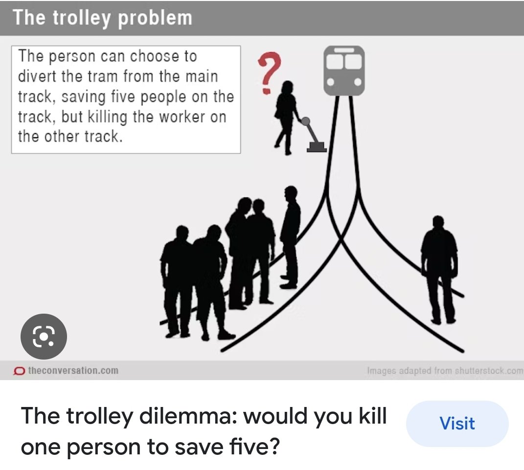 Sheppard M.D. tweet media