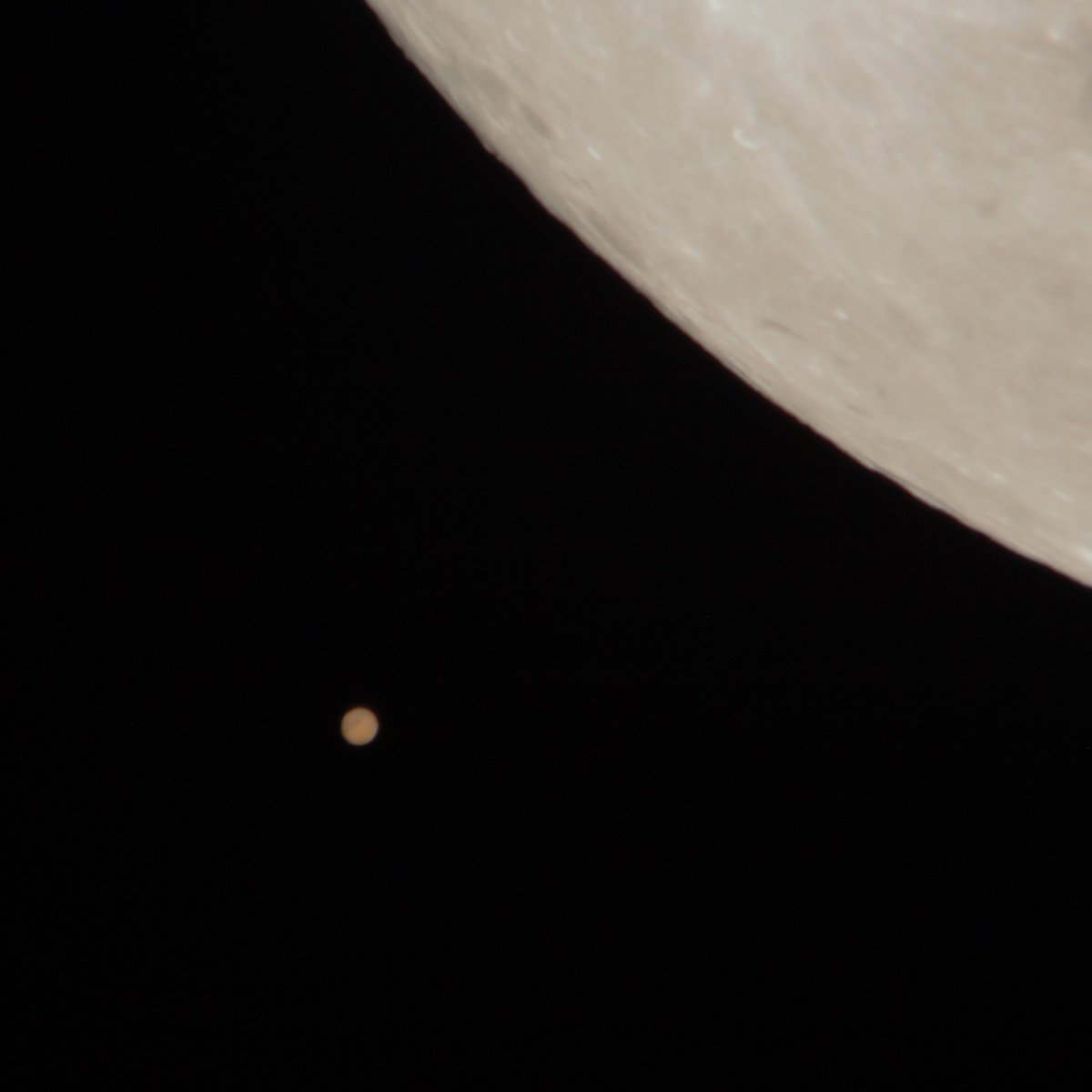 vinnyarmentano's tweet photo. I picked up #Astrophotography as a hobby over the past year, super excited I was able to capture these images of the #MoonMarsConjunction last night & it was even cooler to see it in person! #backyardastronomy #amateurastronomy https://t.co/RIcw9uQq2K