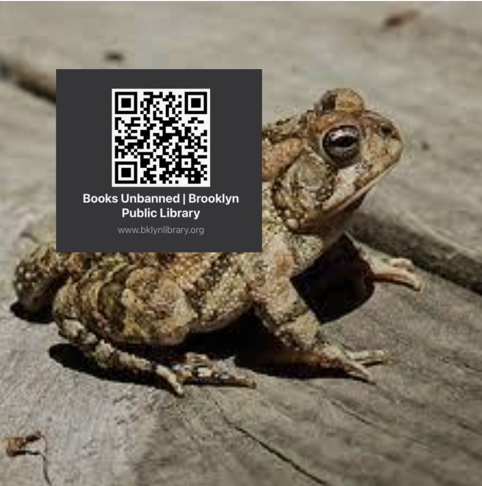 MsBoismier_ELA's tweet photo. You've heard of Elf on the Shelf, but get ready for ... https://t.co/9DTK0K14KK #BooksUnbanned #QRCodeResistance #oklaed #nycschools #nycdoe #library #brooklyn #FReadom https://t.co/QS4cn5w1do