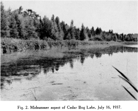 CedarCreekESR's tweet photo. Established in the 1930s, what would become the Cedar Creek Natural History Area was already of interest to scientists at UMN. Then-graduate student Raymond Lindeman collected data for his doctoral thesis at Cedar Bog Lake several years before! https://t.co/3ifZXFlUvv