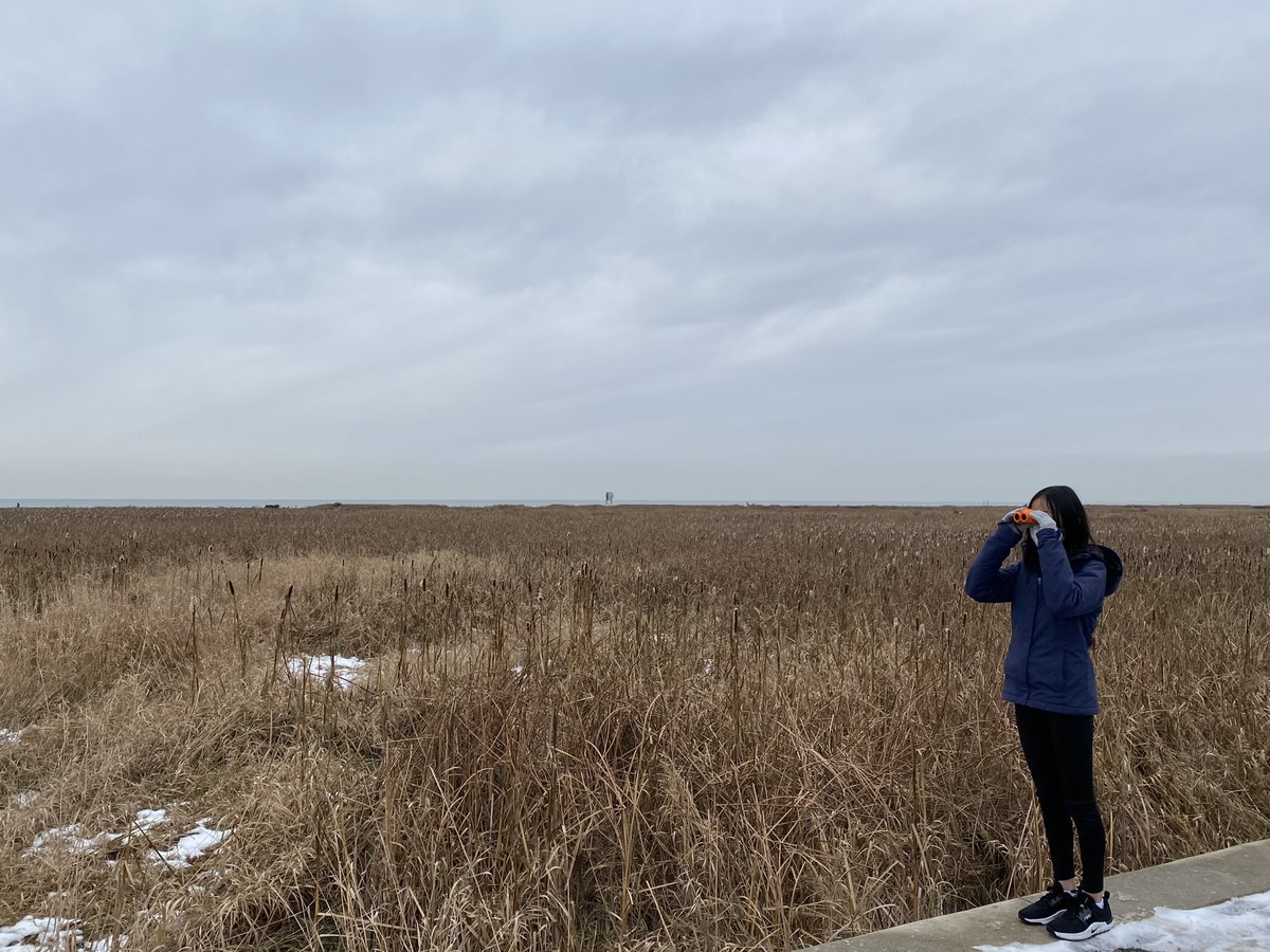 What learning is in bird watching? <a href="/stevescyclones/">Manoah Steves School</a>