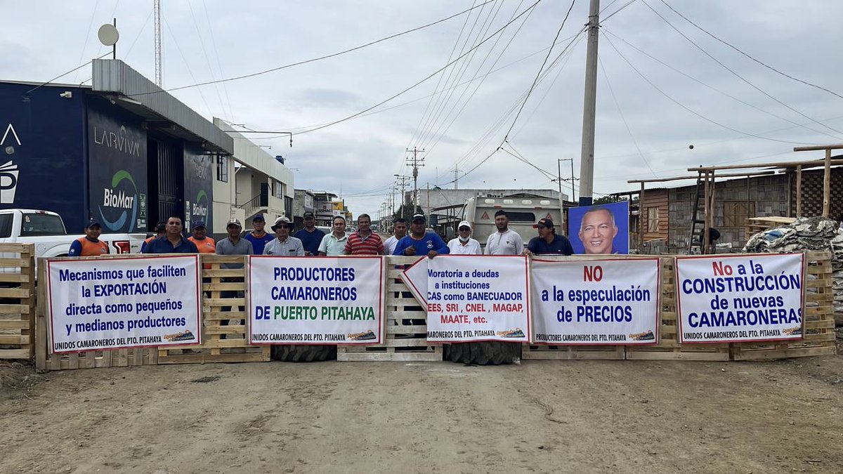 #parocamaronero <a href="/LaPosta_Ecu/">La Posta</a> <a href="/MinGobiernoEc/">Ministerio de Gobierno Ecuador</a> <a href="/Produccion_Ecu/">Ministerio de Producción</a> @Gamanoticiasec <a href="/parosemena/">Pablo Arosemena Marriott</a> <a href="/pradojj/">Julio José Prado</a> <a href="/LassoGuillermo/">Guillermo Lasso</a> <a href="/EgallegosV/">EGV</a> <a href="/Danilo_Rengifo/">Danilo Rengifo</a> <a href="/AquaLink_tm/">AquaLink</a> <a href="/alvinveraloor/">alvin vera</a> <a href="/oswincm/">Oswin Crespo Mera</a> <a href="/alfredomera/">alfredo mera</a> <a href="/gatoedison19/">Edison Villavicencio</a> <a href="/MarcosTello64/">Marcos Tello Echeverria</a> <a href="/OttoNikitaRamo1/">Otto Nikita Ramos Ramos</a> <a href="/ElssieSantos/">ELSSIE SANTOS</a> <a href="/RolandoSigcho/">Rolando Sigcho Jácom</a>