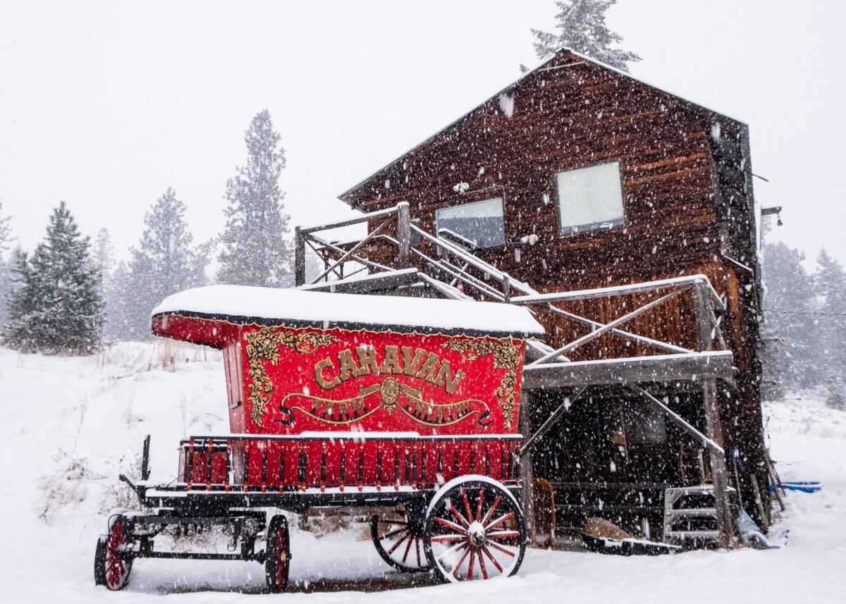 Luke Reece tweet media