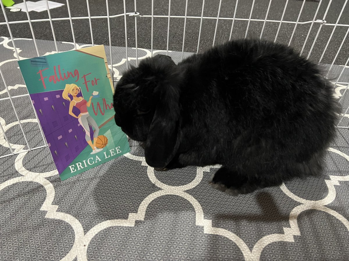 Some bunny loves this book! YOU will too!! Pre-order your kindle copy or buy your paperback today!! 

 amazon.com/gp/aw/d/B0BN6Z…