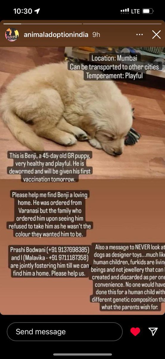 JaiParivaar's tweet photo. Breeding culture thrives cos of such “inhumane” !!!
Stop this !!
There are enough lovely indies around to adopt !! #AdoptDontShop #StopBreedingDogs https://t.co/7v4xT6e9K6