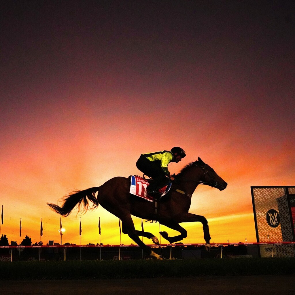 Scott Barbour (@barbour_scott) on Twitter photo El Bodegon ridden by Damien Oliver during Breakfast With The Best at Moonee Valley Racecourse on October 18, 2022 in Moonee Ponds, Australia. (Photo by Scott Barbour/Racing Photos)
#Sony12DaysOfLenses8 <a href="/sonyalpha/">Sony | Alpha</a>.anz instagr.am/p/Cl7yQlVhX38/ El Bodegon ridden by Damien Oliver during Breakfast With The Best at Moonee Valley Racecourse on October 18, 2022 in Moonee Ponds, Australia. (Photo by Scott Barbour/Racing Photos)
#Sony12DaysOfLenses8 <a href="/sonyalpha/">Sony | Alpha</a>.anz instagr.am/p/Cl7yQlVhX38/
