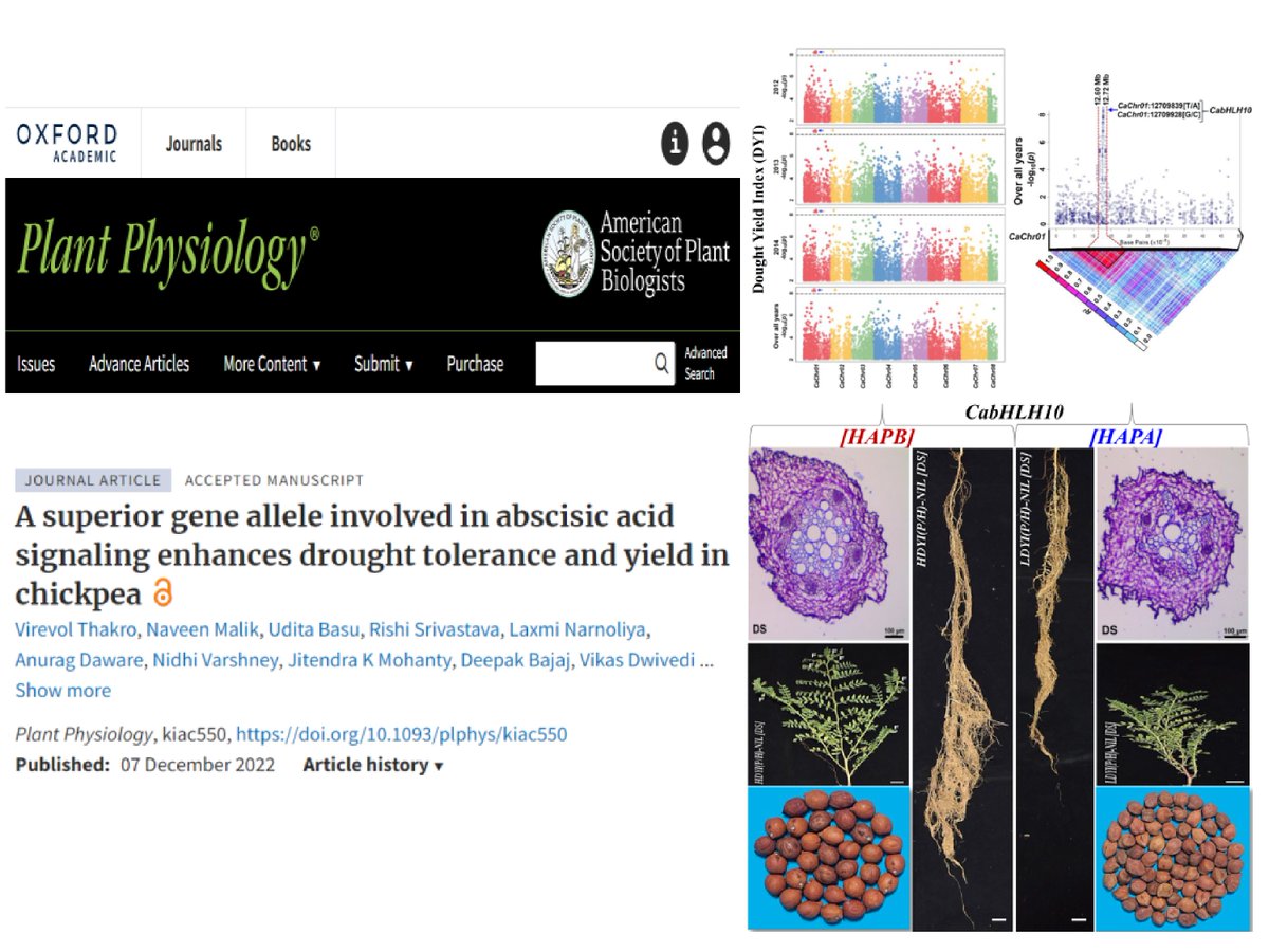 (1/n) A research article from Dr. Swarup K. Parida’s group entitled “A superior gene allele involved in abscisic acid signaling enhances drought tolerance and yield in chickpea” has been published in ‘ <a href="/PlantPhys/">Plant Physiology</a>’. 
Full text: doi.org/10.1093/plphys… 

<a href="/DBTIndia/">Department of Biotechnology</a> <a href="/SciComm_India/">SciCommIndia 🇮🇳</a>