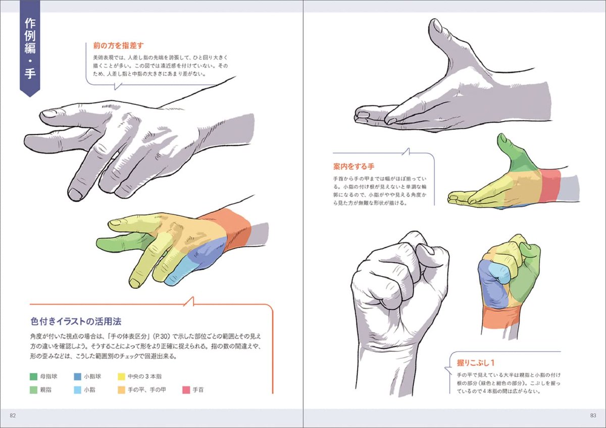 kato_anatomy tweet picture