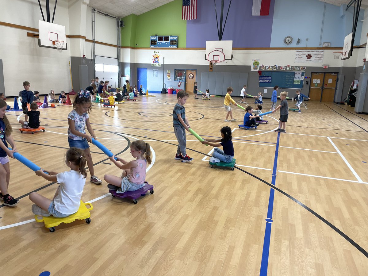 DSE_Essentials tweet media