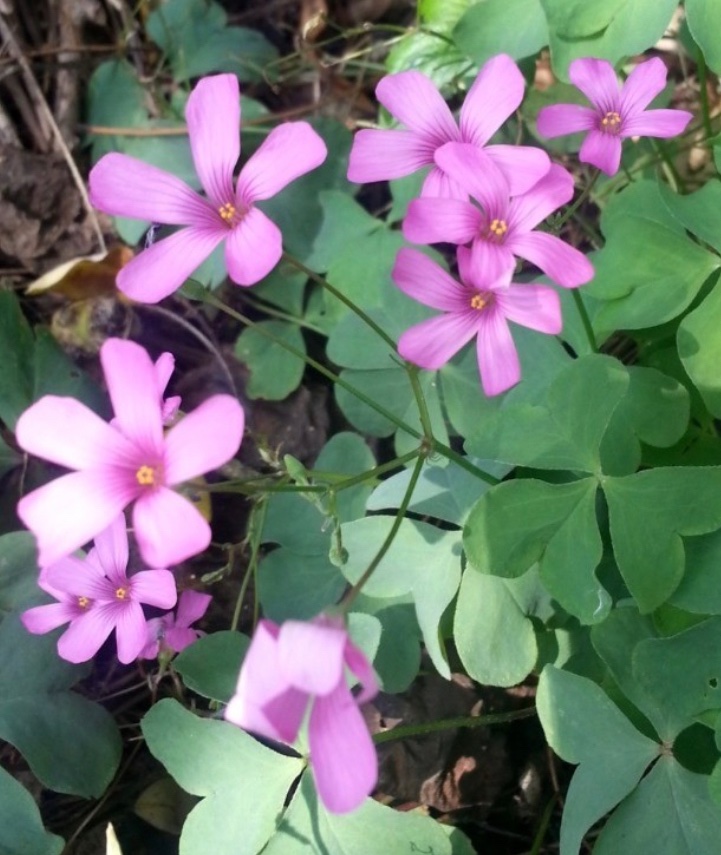 everZero tweet media