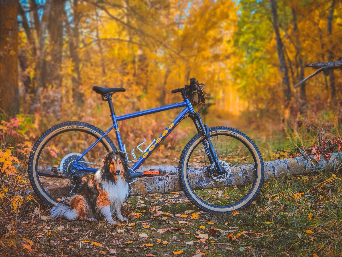 Richard Bone tweet media