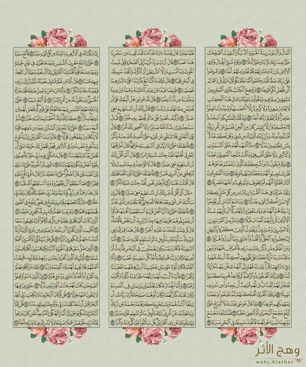 k41_ed's tweet photo. أفسحوا لـ سورة الكهف وقتًا في يومكم 🤍🌿.

 #يوم_الجمعة https://t.co/GTWppeUwOH