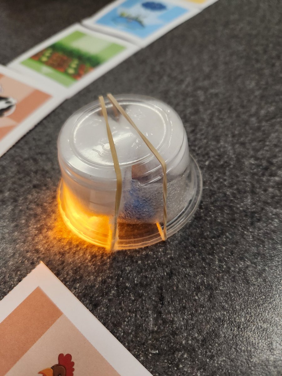 mrspsgr1s's tweet photo. We had so much fun learning about energy with @Sci_In_Schools and Scientist Sophia! Thank you to @NSERC_CRSNG for helping to make it happen! #scientists @ConnaughtDSBN https://t.co/A022o2HuHs