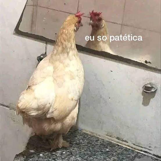 brunorahall's tweet photo. ela o tempo inteiro dando sinais de que não estava bem 😭 https://t.co/1YeuVCeiso